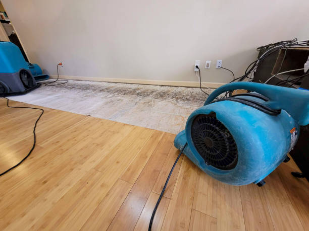 Professional Structural Drying technician working in Farley, IA